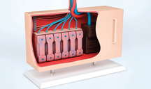短信在线云呼轰炸